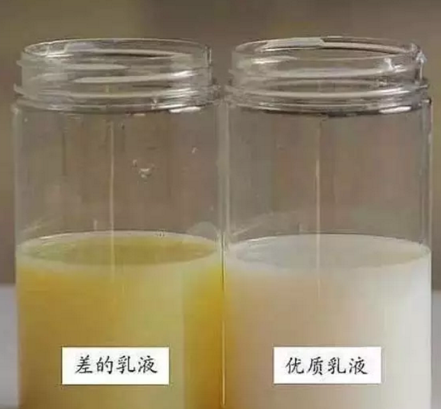 外墙真石漆价格,金彩汇,真石漆价格